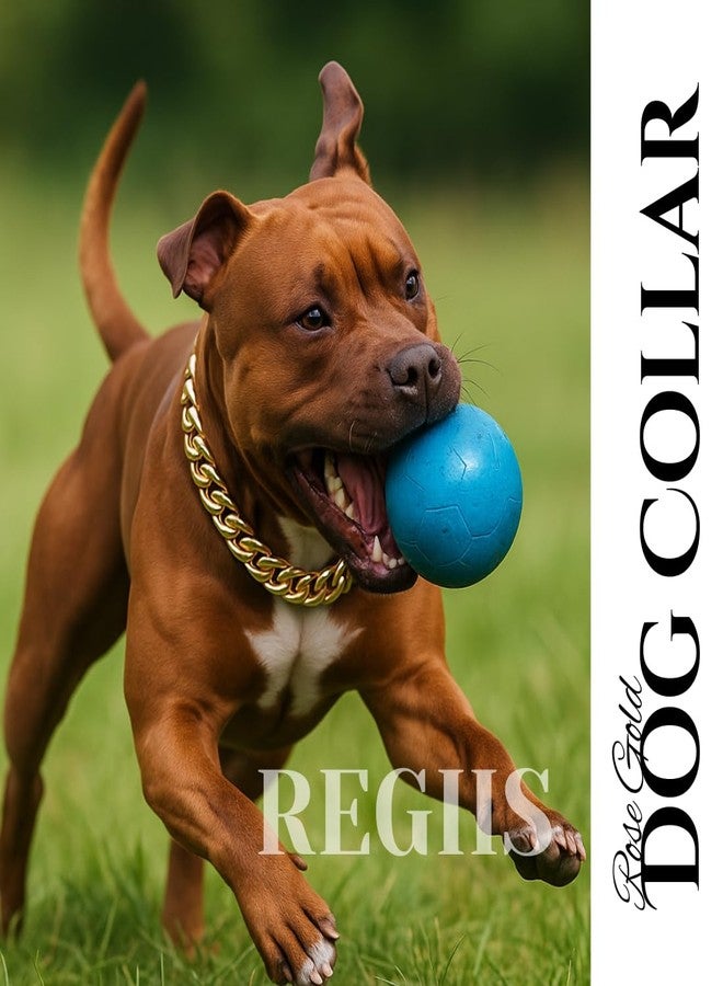 طوق سلسلة فاخر للكلاب، مطلي بالذهب مع حلقات مقطوعة على شكل ماسة، طلاء مقاوم للتشوه (لا يتحول إلى اللون الأسود أبدًا)، إغلاق بقفل ضغط (سلسلة كبيرة الحجم - كبيرة) - Image 2